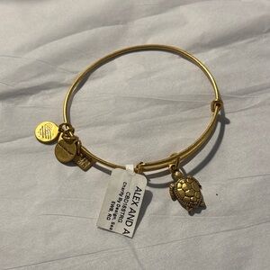 Alex and Ani Gold Turtle Charm Bracelet